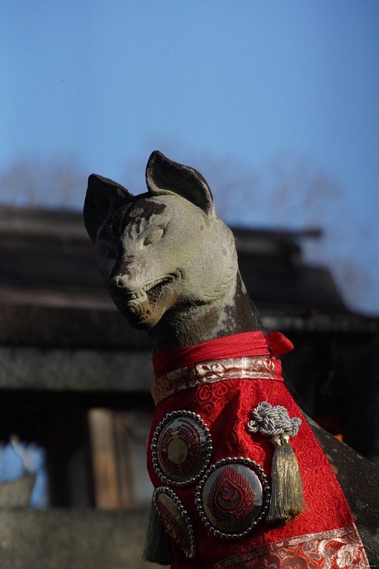Shrines And Foxes - Every Day Photos
